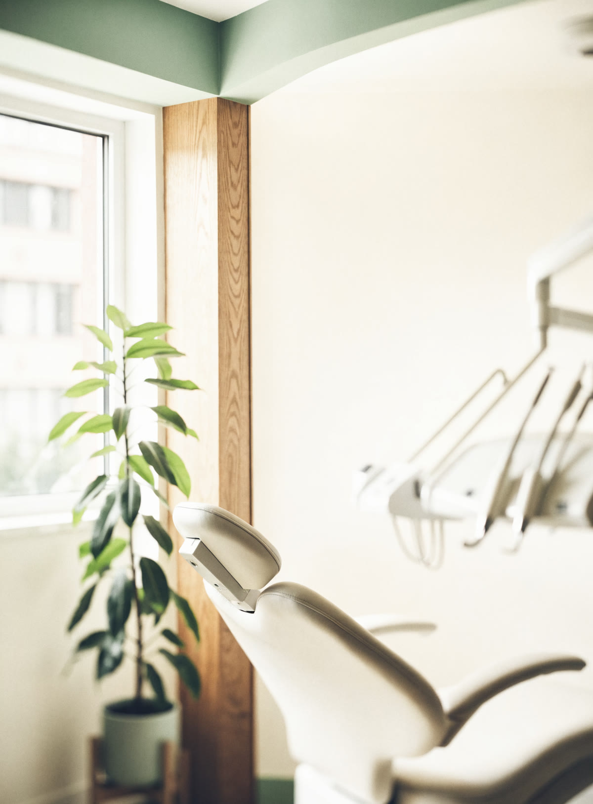 A calm, sunlit modern dental treatment room